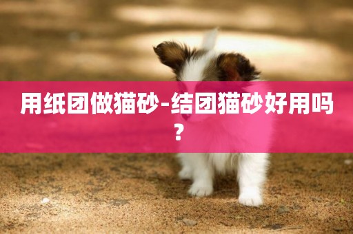 用紙團做貓砂-結團貓砂好用嗎？