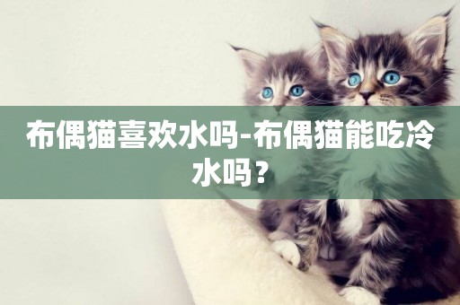布偶貓喜歡水嗎-布偶貓能吃冷水嗎？
