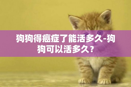狗狗得癌癥了能活多久-狗狗可以活多久？