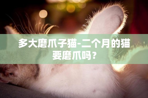 多大磨爪子貓-二個月的貓要磨爪嗎？