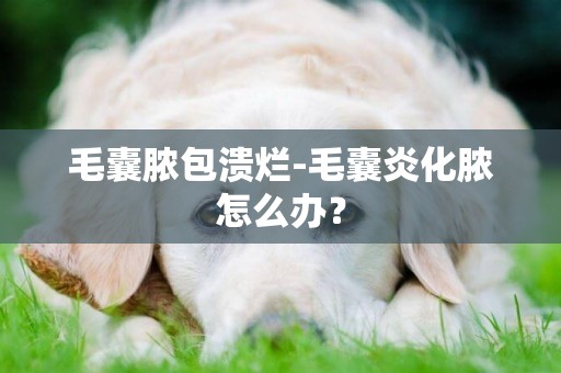 毛囊膿包潰爛-毛囊炎化膿怎么辦？