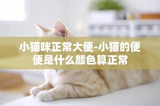 小貓咪正常大便-小貓的便便是什么顏色算正常