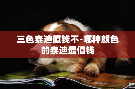 三色泰迪值錢不-哪種顏色的泰迪最值錢