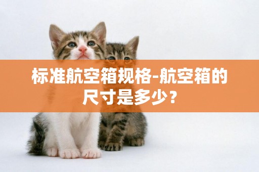 標準航空箱規格-航空箱的尺寸是多少？