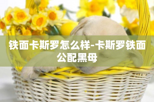 鐵面卡斯羅怎么樣-卡斯羅鐵面公配黑母