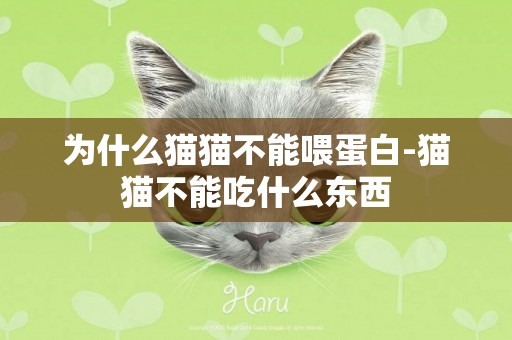 為什么貓貓不能喂蛋白-貓貓不能吃什么東西