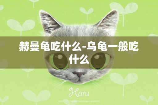 赫曼龜吃什么-烏龜一般吃什么