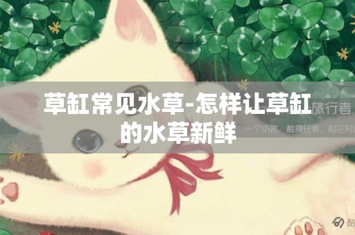 草缸常見水草-怎樣讓草缸的水草新鮮