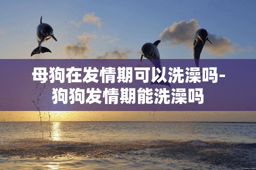 母狗在發情期可以洗澡嗎-狗狗發情期能洗澡嗎