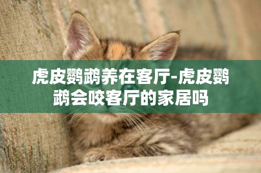 虎皮鸚鵡養在客廳-虎皮鸚鵡會咬客廳的家居嗎
