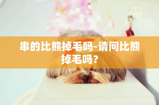 串的比熊掉毛嗎-請問比熊掉毛嗎？