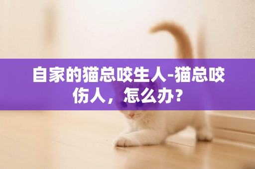 自家的貓總咬生人-貓總咬傷人，怎么辦？