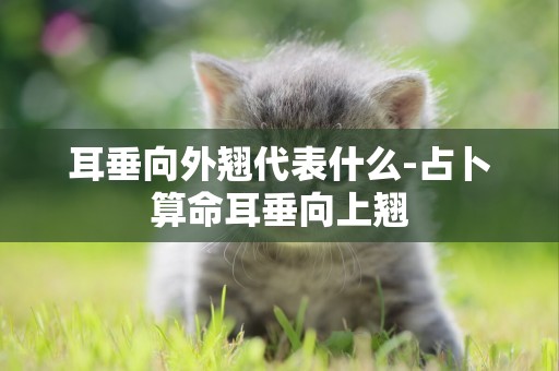耳垂向外翹代表什么-占卜算命耳垂向上翹