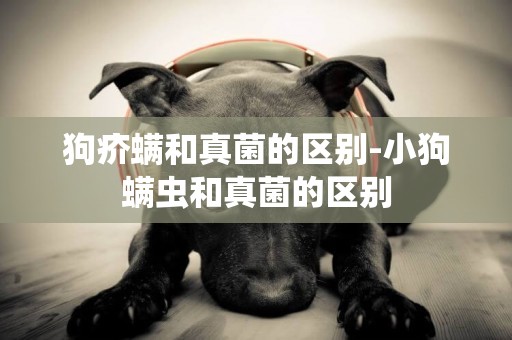 狗疥螨和真菌的區別-小狗螨蟲和真菌的區別