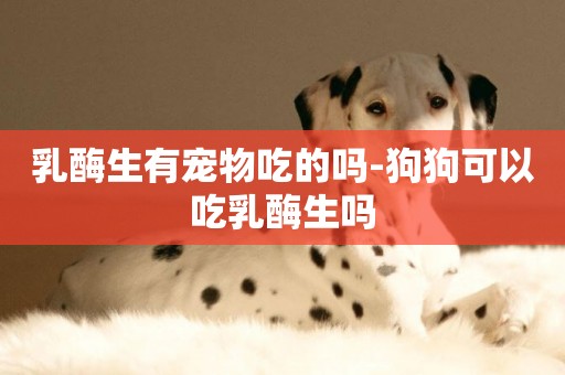 乳酶生有寵物吃的嗎-狗狗可以吃乳酶生嗎