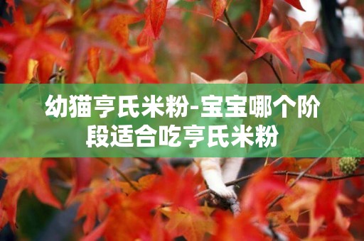 幼貓亨氏米粉-寶寶哪個階段適合吃亨氏米粉