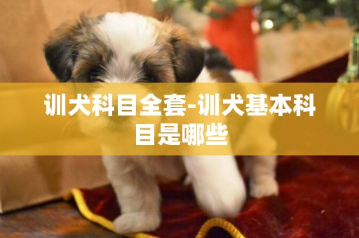 訓犬科目全套-訓犬基本科目是哪些