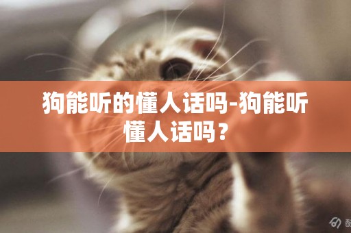 狗能聽的懂人話嗎-狗能聽懂人話嗎？