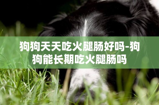 狗狗天天吃火腿腸好嗎-狗狗能長期吃火腿腸嗎