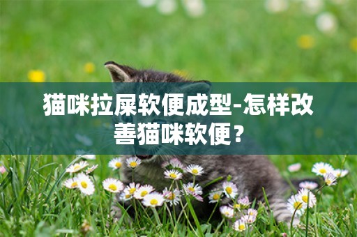貓咪拉屎軟便成型-怎樣改善貓咪軟便？