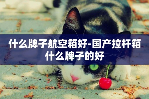 什么牌子航空箱好-國產拉桿箱什么牌子的好