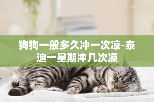 狗狗一般多久沖一次涼-泰迪一星期沖幾次涼