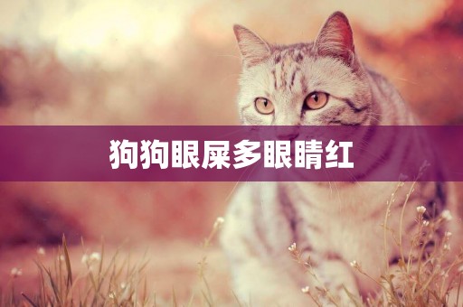 狗狗眼屎多眼睛紅