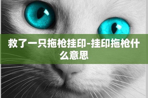 救了一只拖槍掛印-掛印拖槍什么意思