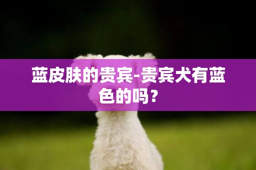 藍皮膚的貴賓-貴賓犬有藍色的嗎？