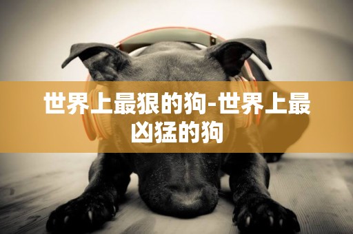 世界上最狠的狗-世界上最兇猛的狗