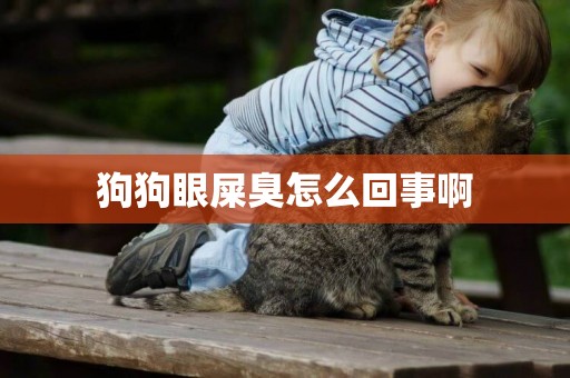 狗狗眼屎臭怎么回事啊