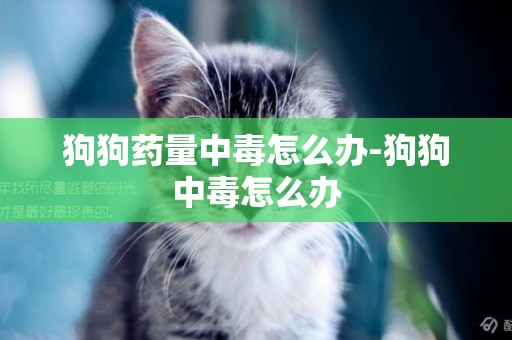 狗狗藥量中毒怎么辦-狗狗中毒怎么辦