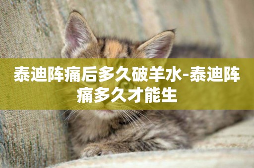 泰迪陣痛后多久破羊水-泰迪陣痛多久才能生