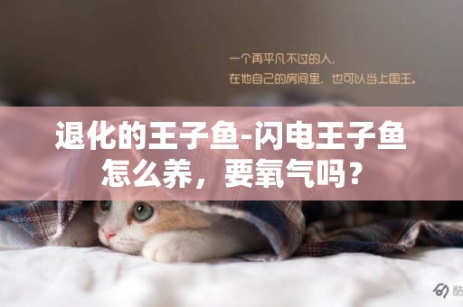 退化的王子魚-閃電王子魚怎么養，要氧氣嗎？