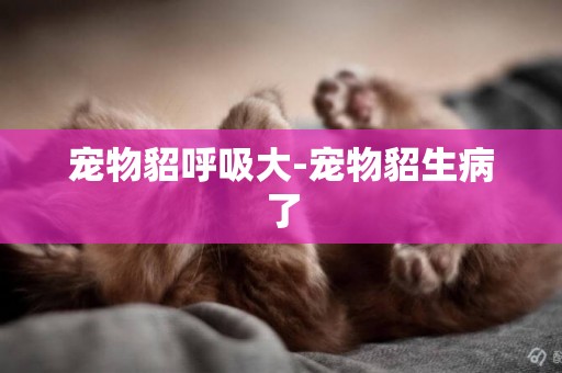 寵物貂呼吸大-寵物貂生病了