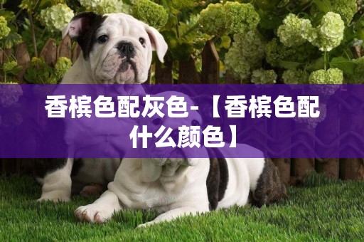 香檳色配灰色-【香檳色配什么顏色】