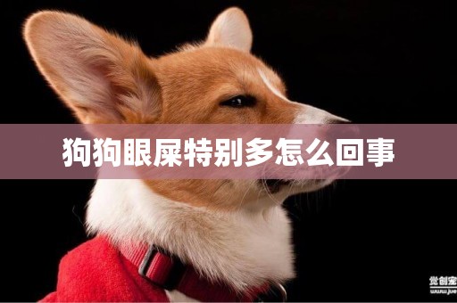 狗狗眼屎特別多怎么回事