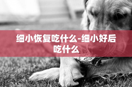 細小恢復吃什么-細小好后吃什么
