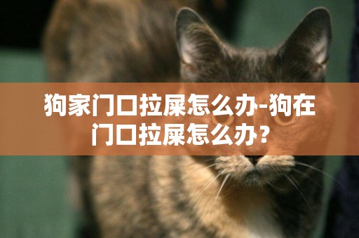 狗家門口拉屎怎么辦-狗在門口拉屎怎么辦？