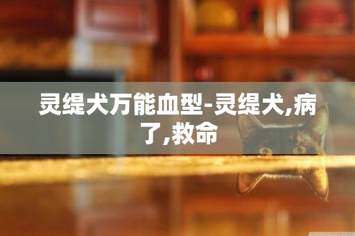 靈緹犬萬能血型-靈緹犬,病了,救命