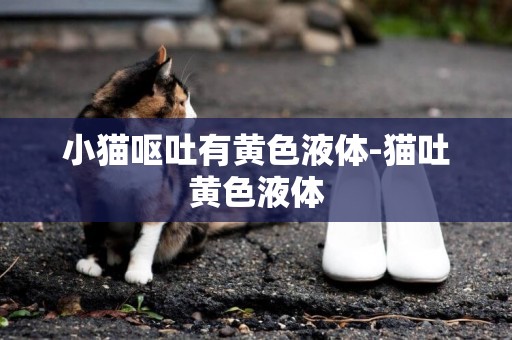 小貓嘔吐有黃色液體-貓吐黃色液體
