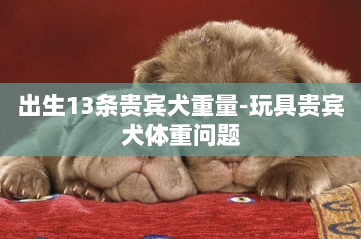 出生13條貴賓犬重量-玩具貴賓犬體重問題