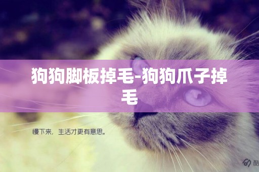 狗狗腳板掉毛-狗狗爪子掉毛