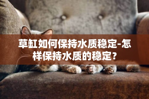 草缸如何保持水質穩定-怎樣保持水質的穩定？