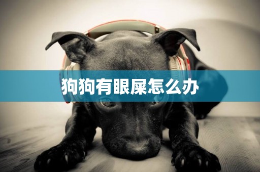 狗狗有眼屎怎么辦