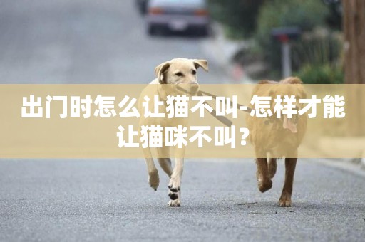出門時怎么讓貓不叫-怎樣才能讓貓咪不叫？