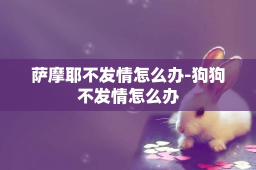 薩摩耶不發情怎么辦-狗狗不發情怎么辦