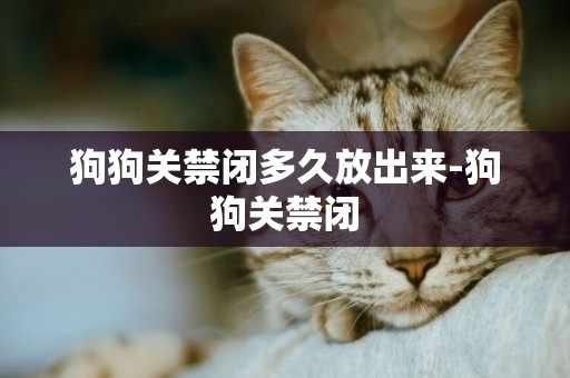 狗狗關禁閉多久放出來-狗狗關禁閉