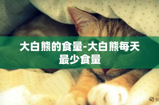 大白熊的食量-大白熊每天最少食量