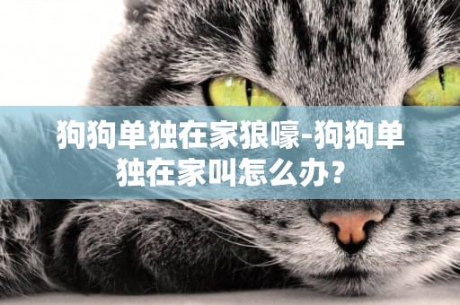 狗狗單獨在家狼嚎-狗狗單獨在家叫怎么辦？